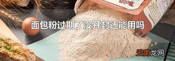 面包粉过期了没开封还能用吗
