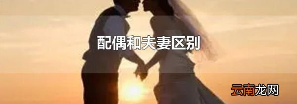 配偶和夫妻区别