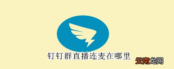 钉钉群直播连麦在哪里