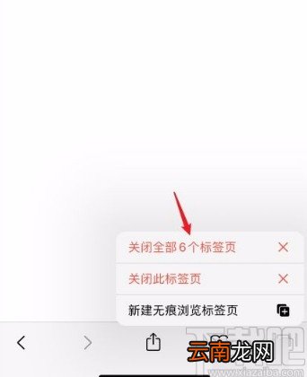 苹果手机关闭Safari浏览器全部标签的方法