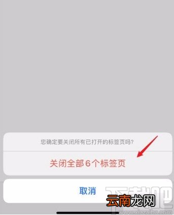 苹果手机关闭Safari浏览器全部标签的方法