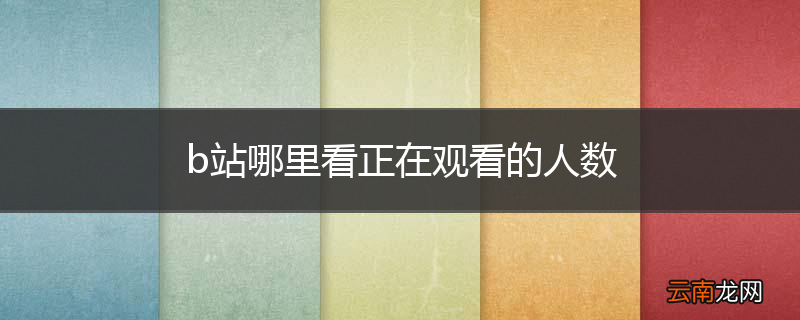 b站哪里看正在观看的人数