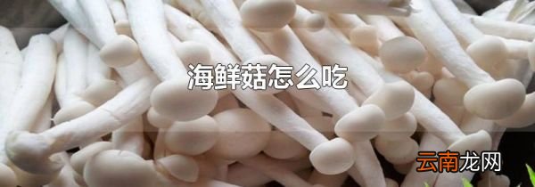 海鲜菇怎么吃
