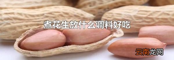 煮花生放什么调料好吃