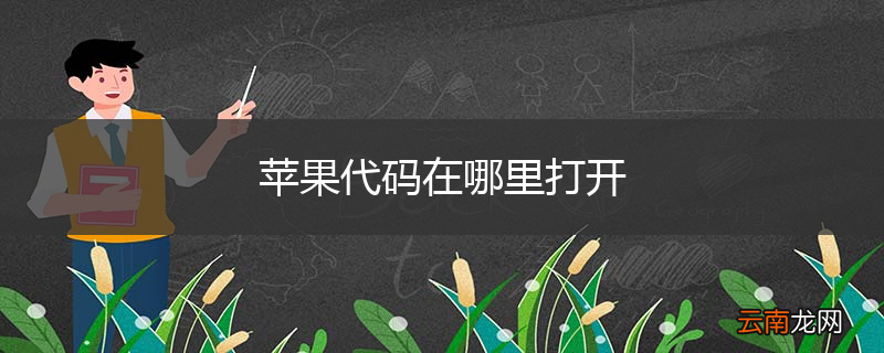 苹果代码在哪里打开