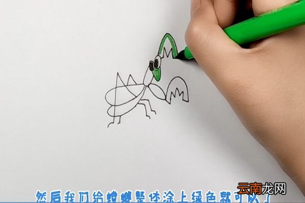 螳螂简笔画