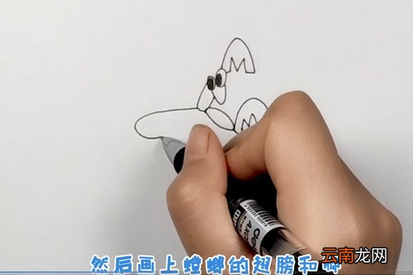 螳螂简笔画