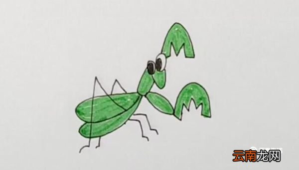 螳螂简笔画