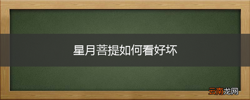 星月菩提如何看好坏