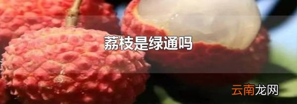 荔枝是绿通吗