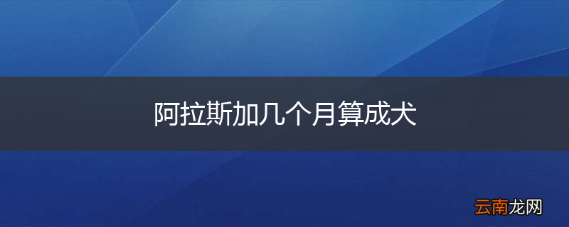 阿拉斯加几个月算成犬
