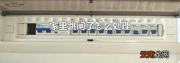 家里跳闸了怎么处理