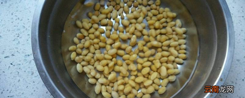 泡豆子用凉水还是温水