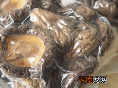 香菇怎么晒干