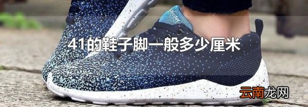 41的鞋子脚一般多少厘米