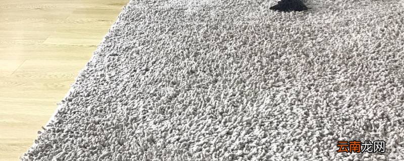 地毯可以用洗衣机洗吗