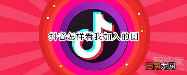 抖音怎样看我加入的团