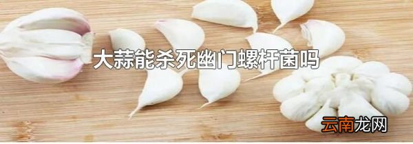 大蒜能杀死幽门螺杆菌吗