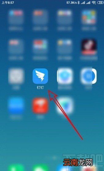 钉钉app看直播回放的方法