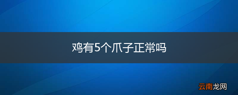 鸡有5个爪子正常吗