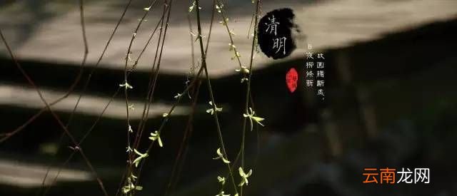 为什么说清明节是古代的植树节？