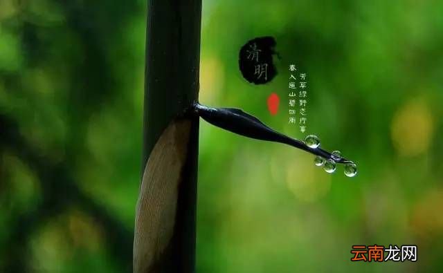 为什么说清明节是古代的植树节？
