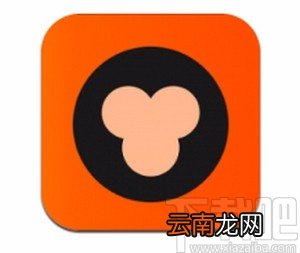 猿辅导app开启上课免打扰模式的方法