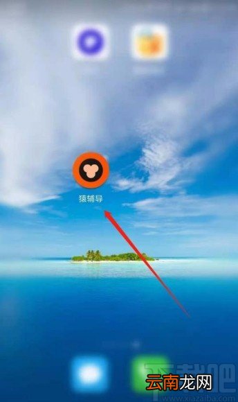 猿辅导app开启上课免打扰模式的方法