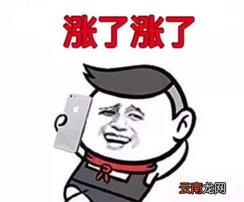 涨停是什么意思？