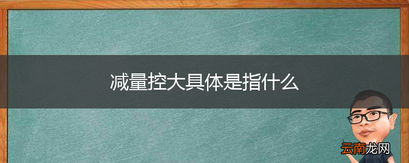 减量控大具体是指什么