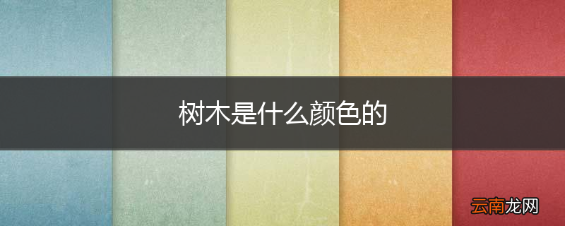 树木是什么颜色的