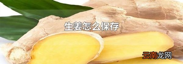 生姜怎么保存