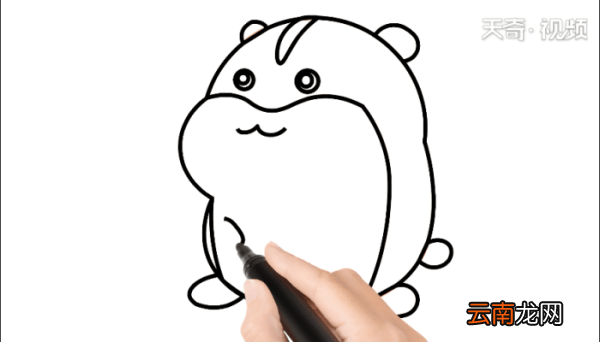 小仓鼠简笔画 小仓鼠简笔画怎么画