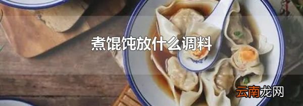 煮馄饨放什么调料