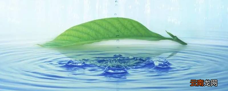 300ml水大概有多少
