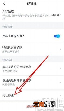 飞书app转让群主的方法步骤
