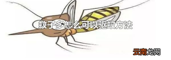 蚊子多怎么可以驱蚊方法