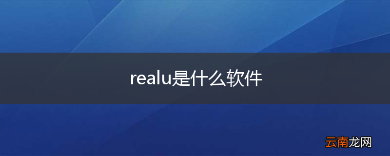 realu是什么软件