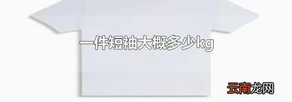 一件短袖大概多少kg