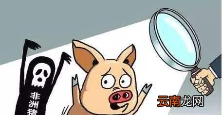 如何预防非洲猪瘟