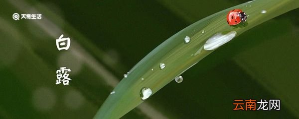 白露时节的特征是什么 白露节气有哪些习俗