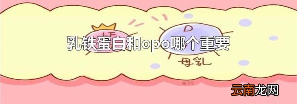 乳铁蛋白和opo哪个重要