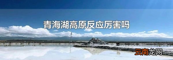 青海湖高原反应厉害吗
