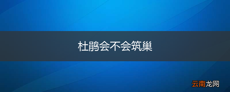 杜鹃会不会筑巢