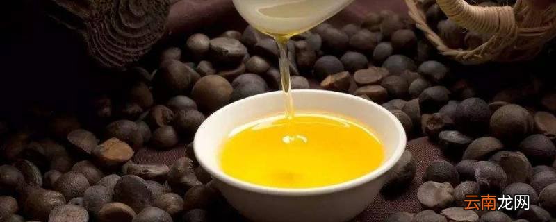 茶油怎样过滤才干净