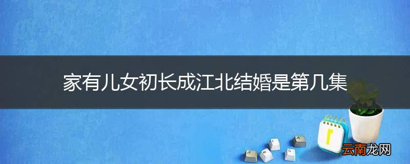 家有儿女初长成江北结婚是第几集