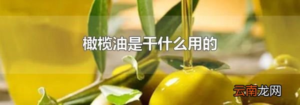 橄榄油是干什么用的