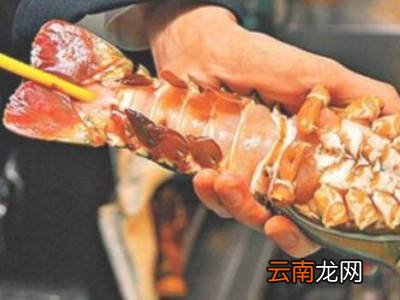 怎么放掉虾的尿
