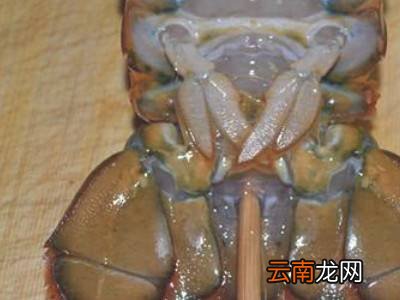 怎么放掉虾的尿