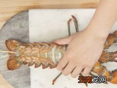 怎么放掉虾的尿